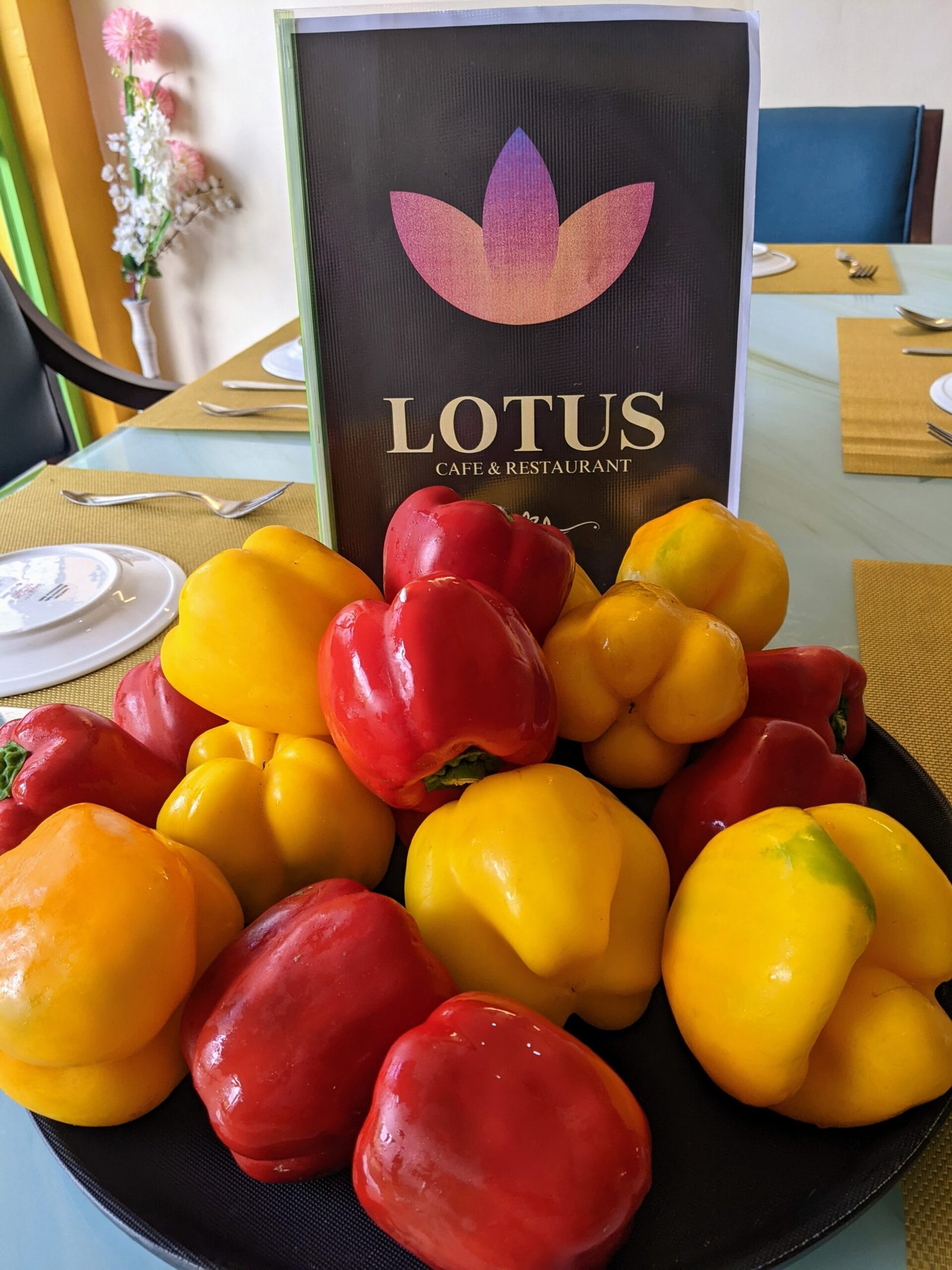 PXL_20231002_064647176~2